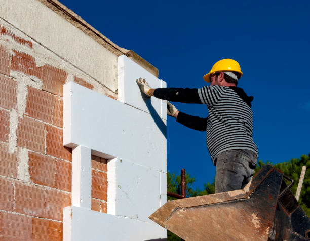 Best Home Insulation Services  in Siler City, NC