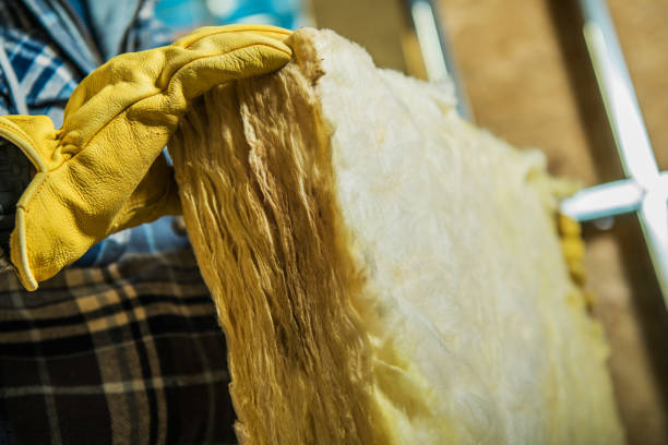 Best Attic Insulation Installation  in Siler City, NC