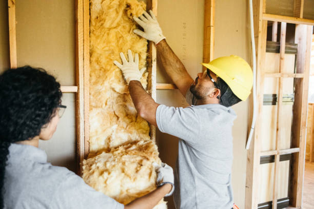 Best Insulation for New Construction  in Siler City, NC