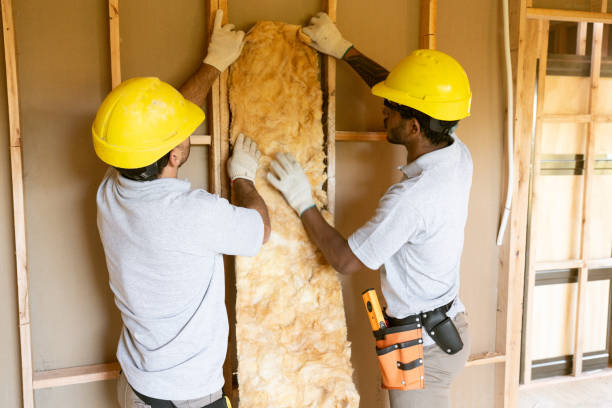 Best Professional Insulation Contractor  in Siler City, NC