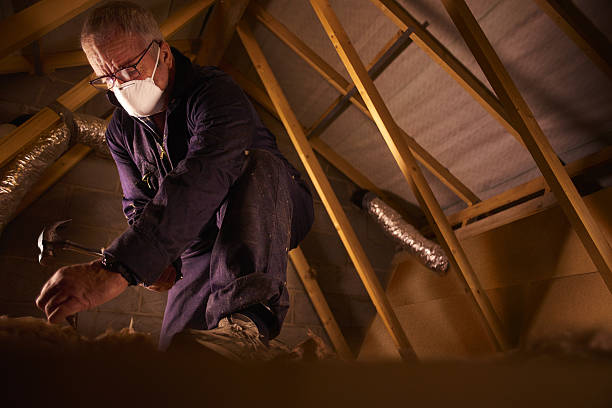 Best Insulation Inspection Services  in Siler City, NC
